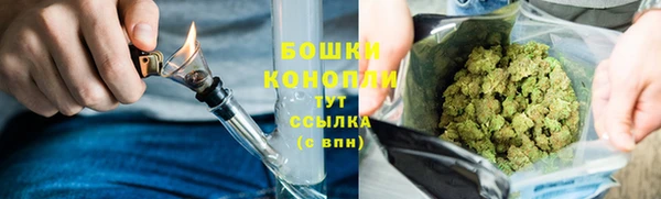 ПСИЛОЦИБИНОВЫЕ ГРИБЫ Дмитров
