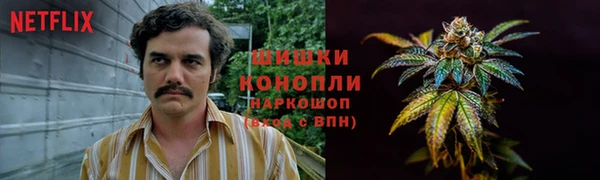 гашиш Дмитриев