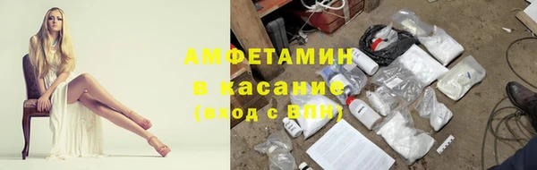 ПСИЛОЦИБИНОВЫЕ ГРИБЫ Дмитров