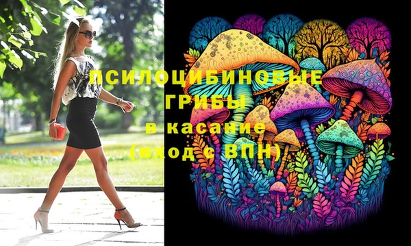 ПСИЛОЦИБИНОВЫЕ ГРИБЫ Дмитров