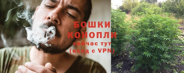гашиш Дмитриев