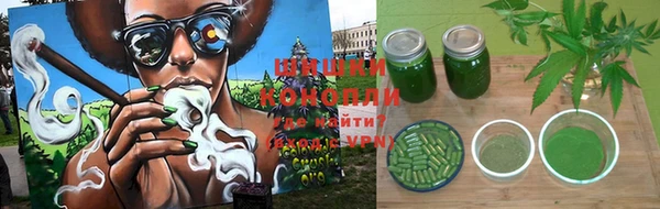 ПСИЛОЦИБИНОВЫЕ ГРИБЫ Дмитров