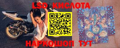 ПСИЛОЦИБИНОВЫЕ ГРИБЫ Гатчина