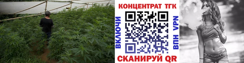 Дистиллят ТГК Wax  Спасск-Дальний 