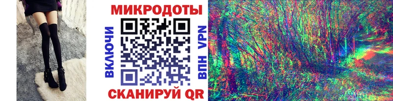 купить наркотик  Спасск-Дальний  Галлюциногенные грибы MAGIC MUSHROOMS 