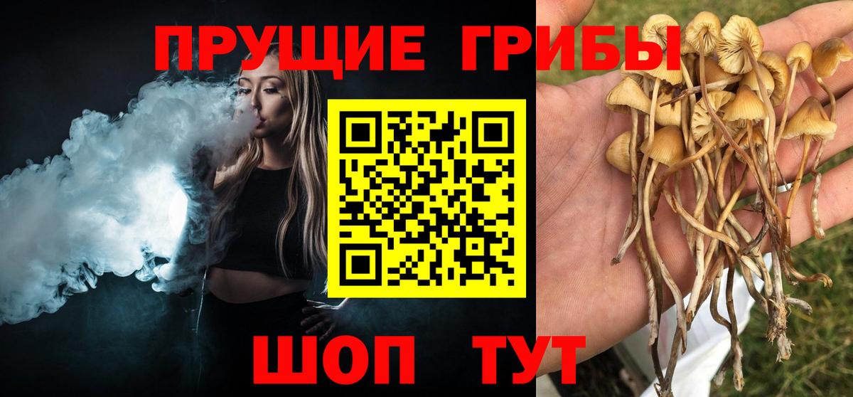 Псилоцибиновые грибы Psilocybe  Вход с VPN  Галлюциногенные грибы GOLDEN TEACHER  Спасск-Дальний 
